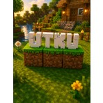AU Design Isme Özel Minecraft Blok Dekor 4 -5 Harf