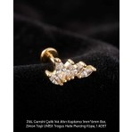 Begonia Accessories 316L Cerrahi Çelik Altın Kaplama Kararmaz Alerji Yapmaz Zirkon Taş Figür Unisex Tragus Helix Küpe Piercing A429-21