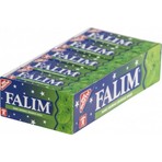Falım Şekersiz Sakız Nane Aromalı 5 li 7gr x 20 Li