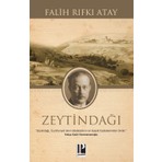 Pozitif Yayınları Zeytindağı  - Falih Rıfkı Atay