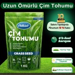 Ebitkisel Çok Yıllık Çim Tohumu 1 kg Uzun Ömürlü 6'lı Karışım Gölge ve Aşırı Güneşli Alan Uygun Yetiştirilmesi Kolay 4 Mevsim Yeşil