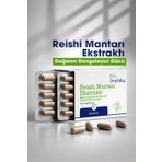 Dr. Ümit Aktaş Reishi Mantarı Ekstraktı - 60 Kapsül