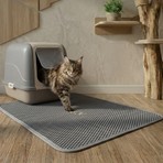 Sogood Concept XL - Elekli Kedi Kum Paspası 60 x 80 cm Gri Petek Dokulu Kedi Kum Yakalama Özelliği