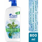 Head&Shoulders Head & Shoulders Buzlu Mentol Ferahlığı Kaşıntı Giderici Serinlik Hissi Kepeğe Karşı Etkili Şampuan 800ml
