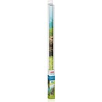 Juwel Poster1 Plant/reef - Xl Arka Fon 150*60CM