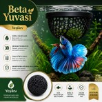 Beta Balığı Betta Dinlenme Alanı & Üretim Yuvası