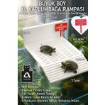 Açelya3d Kaplumbağa Rampası 17X21 cm | Büyük Boy Güneşlenme Platformu | Yem Bölmeli | Vantuzlu | 4-6 mm Cam Uyumlu Akvaryum Kaplumbağa Adası