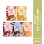 OG natural 5'li Karışık Organik Meyve Küpleri (Nar, Yaban Mersini, Portakal, Mango, Çilek)