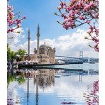 Duck Hoby 50X40 Boncuklu Taş Mozaik Elmas Goblen Elmas Boyama Resim Boncuk Puzzle Dıamond Paıntıng Hı Stone