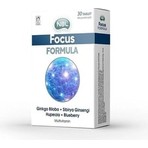 NBL Focus Formula 30 Tablet ( 1 Adet )