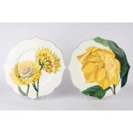 Mikasa Moor  2li Art Of Botanical Sarı Tatlı Tabağı 21 cm