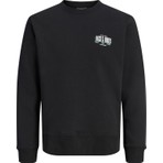 Jack & Jones Erkek Gögüs Baskili Bisiklet Yaka Sweatshirt - Aero