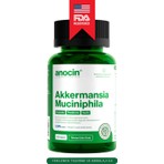Akkermansia Muciniphila Probiyotik + Prebiyotik + Postbiyotik + Inulin . X6 Kat Daha Çok Akkermansia
