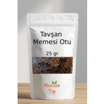 Mucize Tıp Tavşan Memesi Otu Dökme 25 gr