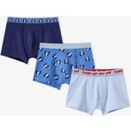 Penti Erkek Çocuk Mavi Paws For Joy Pamuklu 3'lü Boxer