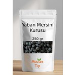 Mucize Tıp Yaban Mersini Kurusu Dökme 250 gr