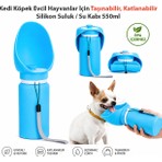 Dexmon Kedi Köpek Evcil Hayvan Için Taşınabilir Katlanabilir Silikon Su Kabı Su Şişesi Seyahat Suluk 550ML Sızdırmaz
