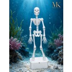 MK Design Dans Eden Iskelet Akvaryum Dekoru – Baloncukla Hareket Eden Siyah Hava Taşı Süsü