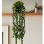 Statika Home Yapay Çiçek Elmas Saksıda 80 cm Yoğun Yapraklı Koyu Yeşil Okaliptus Sarkıt