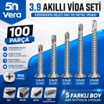 5n Vera 100 Parça Yhb Akıllı Vida Seti | 3.9 Kendinden Delici Matkap Uçlu Sac ve Metal Vidası | Ph2 Uyumlu | 3.9X13 3.9X19 3.9X22 3.9X32 3.9X38