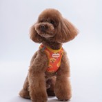 Pawstar Air-Mesh Poodle Köpek Göğüs Tasması Hafif ve Nefes Alabilen Tasarım S Beden
