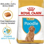 Royal Canin Poodle Puppy Yavru Köpek Maması 3 Kg