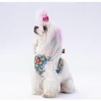PawStar Airmesh Ducks Göğüs Tasması Mavi - Sarı Renkli Hafif ve Nefes Alabilen Tasarım