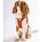 Pawstar Air-Mesh Terracotta Köpek Göğüs Tasması