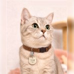 Caramelos Isimli Kedi Tasması Kedi Isimlik Kişiye Özel-Güvenlik Kilitli- Eko Serisi Sl