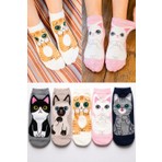 Worthy Socks 5'li Kedi Desenli Yüksek Kaliteli Renkli Patik Bilek Çorap