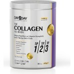 Day2Day The Collagen All Body Toz 10 gr 30'lu