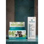 Veda Phytomıns For Joınts