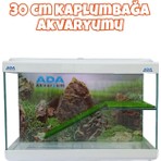 Ada Akvaryum Su Kaplumbağası Akvaryumu Bahçeli Rampalı Dinlenme  30X23X15 cm  Arka Plan Hediyeli