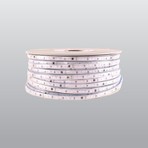 Ack 220V 6500K Beyaz Dış Mekan Şerit LED (AS01-01503) (Metre)