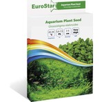 Die Grup Eurostar Glossostigma Elatinoides Akvaryum Bitkisi Tohumu