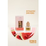 Bargello Dynamic Place Karpuz Mango 8 ml Dekoratif Araç Kokusu