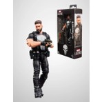 Hasbro Marvel Legends Punisher, The Punisher Aksiyon Figürü