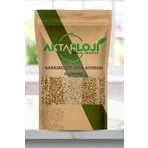 Aktarloji 2 kg Karamelize Soya Kıyması / Bitkisel Protein Kaynağı / Katkısız & Doğal