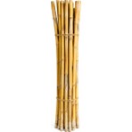 Lotus Botanik Doğal Bambu Çubuğu 2 Metre – 10 Adet Bağ – Bahçe ve Bitki Destek Çubuğu