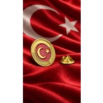 kuyumcudan Ay Yıldız Çelenk Altın Kaplama Yaka Rozeti