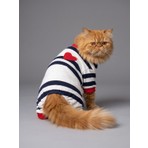 Kemique Mon Amour Çizgili Kedi Tulumu | Pamuklu Penye Kedi Kıyafeti | Küçük Irklar Için | Tüy Dökülmesini Azaltır