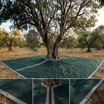 Morilu Zeytin Toplama Filesi – Ağaca Geçirmeli %75’lik Şeritli Halkalı Zeytin Sergenliği – Zeytin Yaygısı – Hasat Filesi
