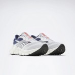 Reebok Floatzıg 2 Beyaz Erkek Koşu Ayakkabısı
