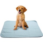 Abso 4 Katlı Yıkanabilir Emici Köpek Çiş Pedi 75 x 85 cm Koku Yapmaz Özelliği ile Rahat Kullanım