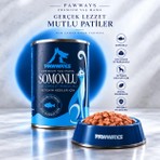Pawways Sos Içinde Et Parçacıklı Kedi Konservesi Somonlu 400 gr