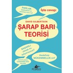 Pegasus Yayınları Şarap Barı Teorisi