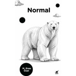 Ayrıntı Yayınları Normal M. Enes Özel