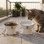 ARKHERA 2'li Eğimli Yükseltilmiş Omurga Dostu Seramik Kedi Köpek Mama ve Su Kabı