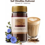 Saf Hindiba Kahvesi | %100 Bitkisel | Kafeinsiz | 100G Cam Kavanoz