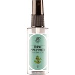 Gy Atelier Rebul Çam Ormanı Eau De Cologne 50 ml